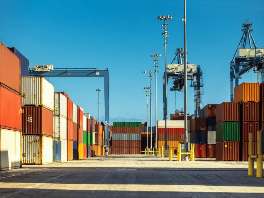 Ocean Freight Rate Trends and Insights
