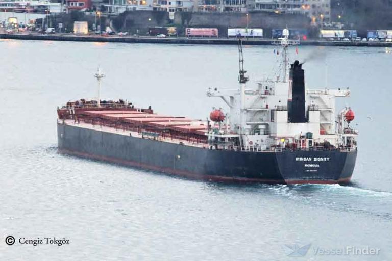 Commercial cargo vessel transiting the Strait of Hormuz transit zone under heightened security