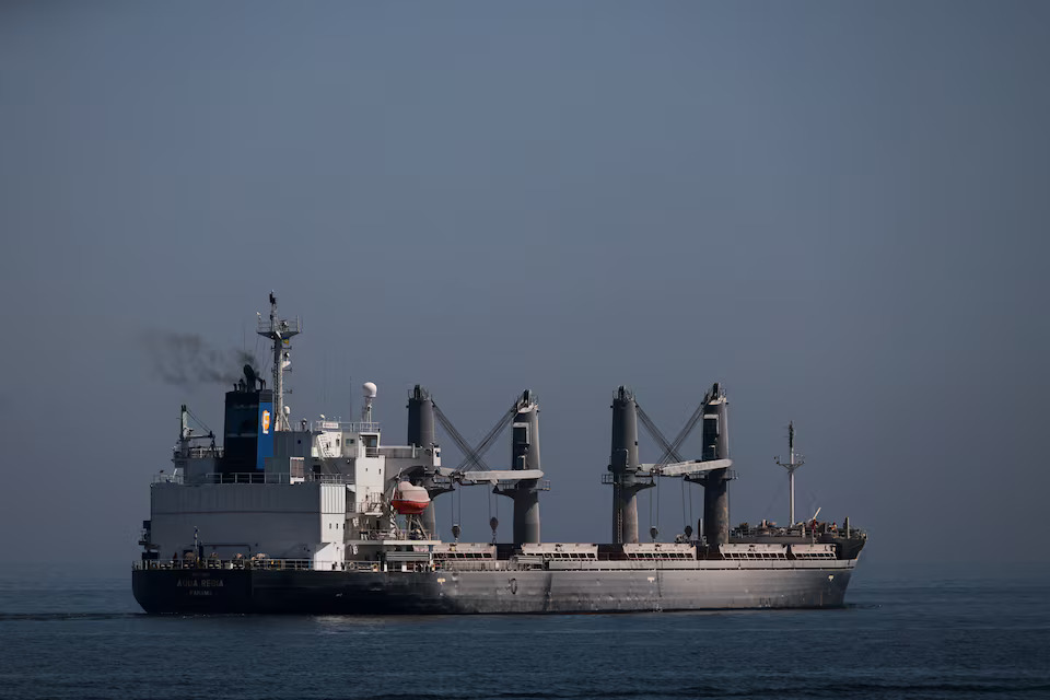 Commercial cargo vessel operating near Black Sea grain exports infrastructure