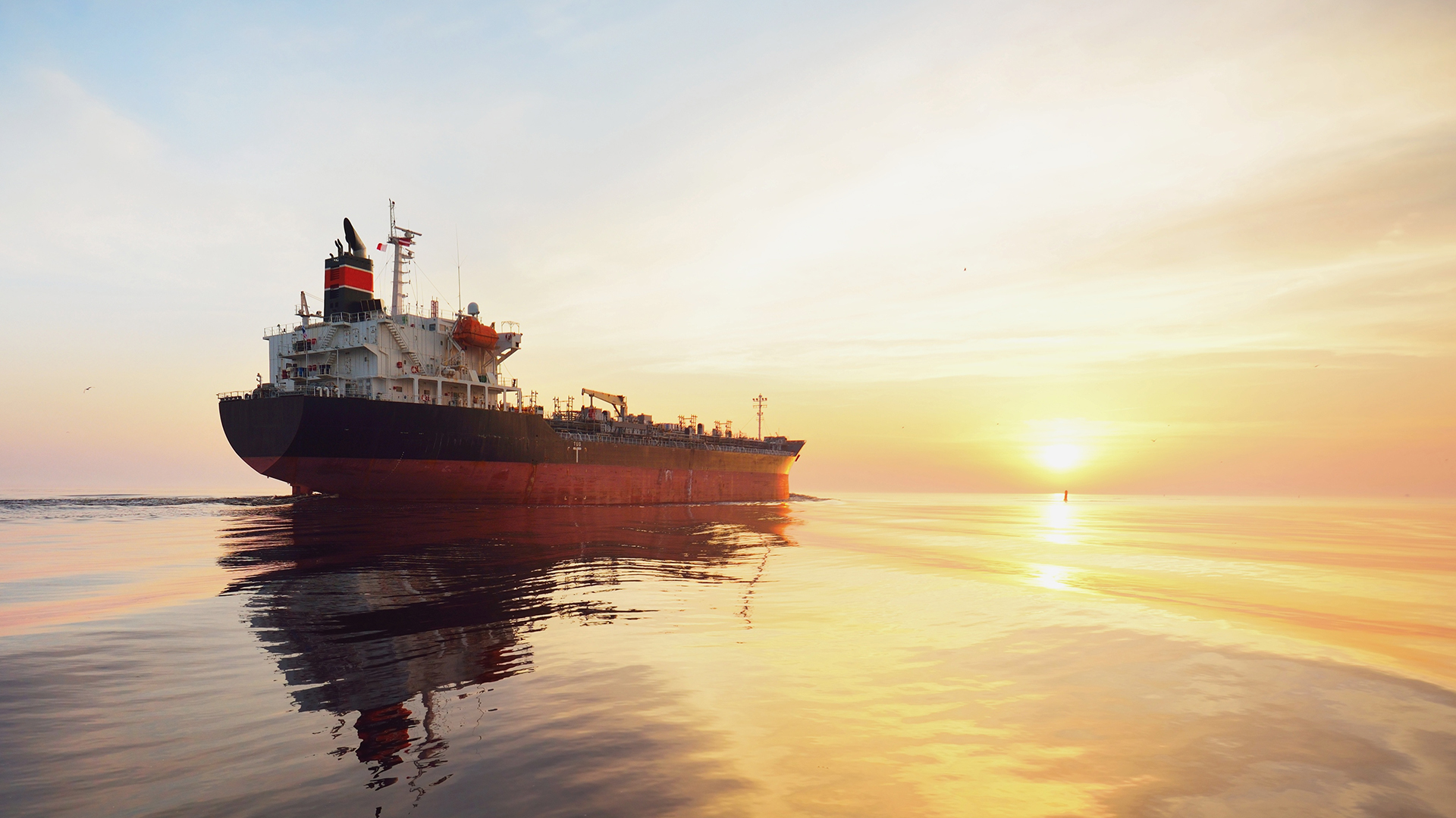 Container ship navigating regional waters where war risk clauses govern chartering decisions.